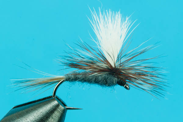 A Parachute Adams Dry Fly held in a vise. Gray body, grizzly and brown tail, white wing/parachute and a grizzly and brown hackle.