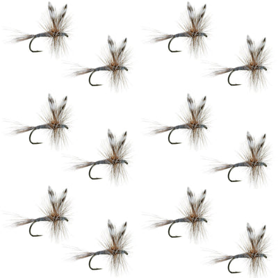 Set of 12 Adams Classic Dry Fly fishing flies, size 20, designed for trout fishing, with detailed feather and hook features.