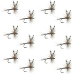 Set of 12 Adams Classic Dry Fly fishing flies for trout, size 12, featuring realistic dry fly hooks and detailed feather patterns.