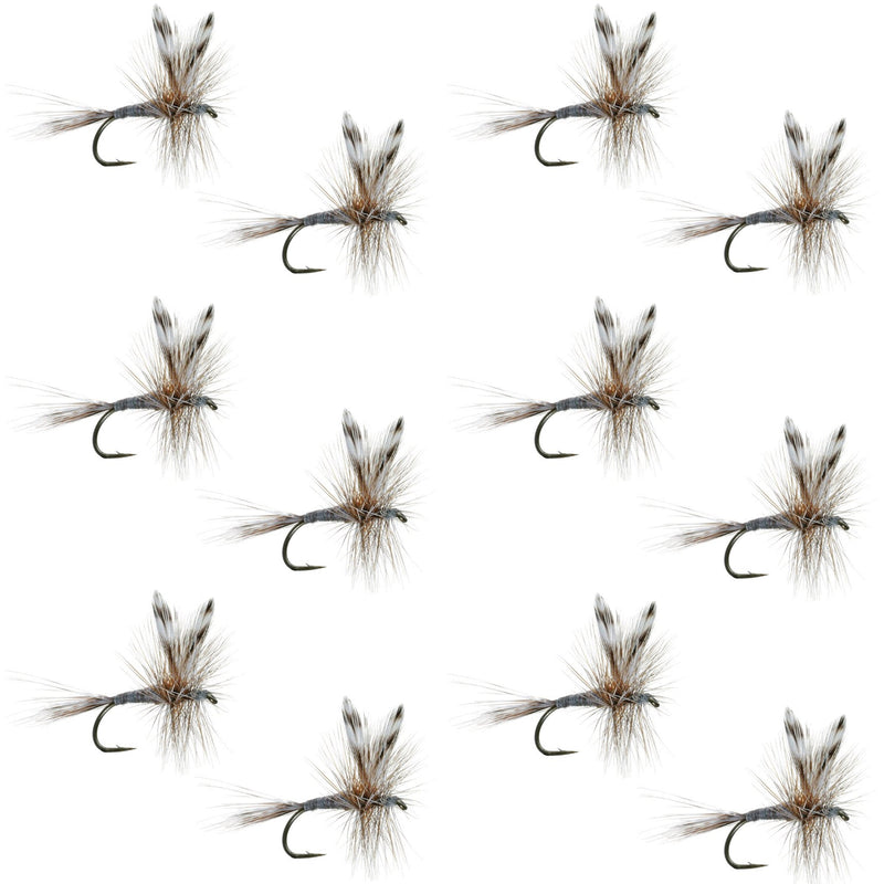 Set of 12 Adams Classic Dry Fly fishing flies for trout, size 16, featuring realistic dry fly designs by The Fly Fishing Place.
