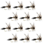 Set of 12 Adams Irresistible Classic Dry Flies for trout fishing, size 10, by The Fly Fishing Place.
