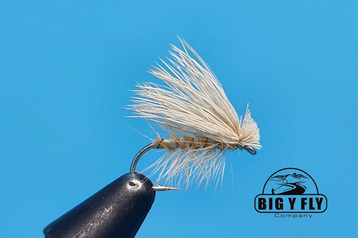 Fishing fly on a hook with 'Big Y Fly Company' logo against a blue background