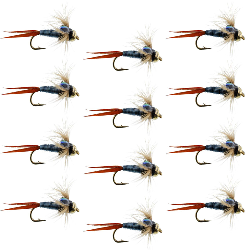 Set of 12 Bead Head Metallic Blue Copper John Nymph trout wet flies with size 12 hooks by The Fly Fishing Place.