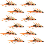 Set of 12 double bead peacock stonefly nymph flies with amber biot legs for trout fishing, hook size 10, by The Fly Fishing Place.