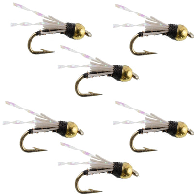 Beadhead Black 3 Dollar Dip Nymph trout wet fly set of 6 size 16 for fly fishing, featuring detailed fly pattern with nymphs.