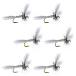 Set of six white Wulff dry flies with hair wings on size 14 hooks for trout fishing, by The Fly Fishing Place.