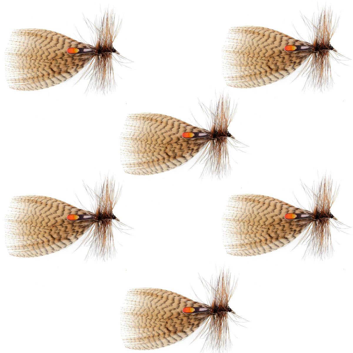 Set of six Hornberg Special Streamer or Dry Flies for trout fishing, natural-colored wet flies with hook size 10.