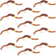 San Juan Bead Head Power Worm Brown V-Rib - 1 Dozen Hook Size 10