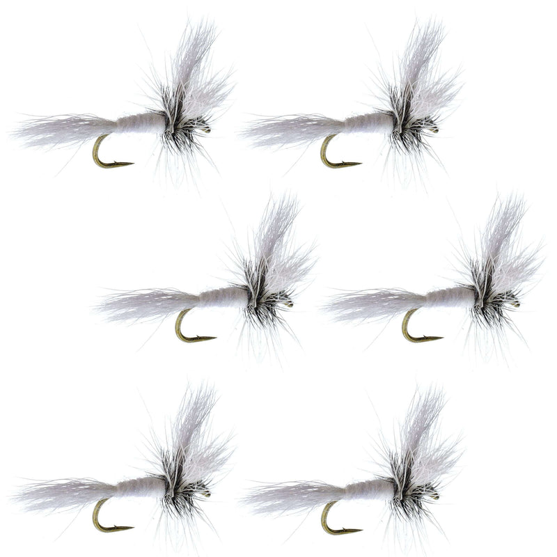 Set of six white Wulff Classic Hair Wing dry flies for trout fishing, hook size 10, by The Fly Fishing Place.