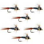Set of six Bead Head Metallic Blue Copper John Nymph trout wet flies on hook size 14 for fly fishing.