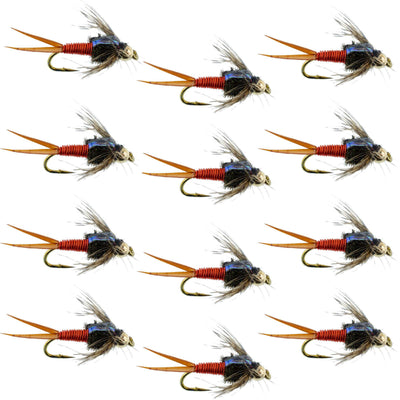Bead Head Hot Orange Copper John Nymph trout wet fly set of 12 with size 12 hooks, ideal for fly fishing.