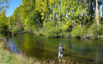 Three white Wulff Classic Hair Wing dry fly hooks size 12, designed for fly fishing, displayed on a scenic river background.