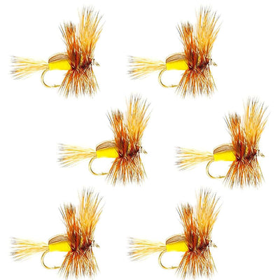 Set of six yellow Humpy classic dry flies for trout fishing, size 12, by The Fly Fishing Place, with barbless hooks.