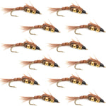 Set of 12 double bead pheasant tail nymph flies for trout fishing, size 14, with detailed pheasant tail and bead accents.
