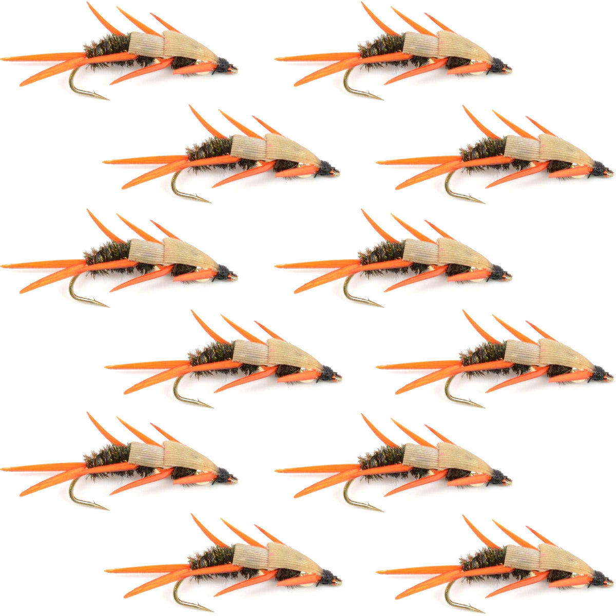 Set of 12 double bead peacock stonefly nymphs with amber biot legs for trout fly fishing, hook size 8, by The Fly Fishing Place.