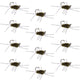 Barbless Pats Rubber Legs Tungsten Jig Dark Olive Euro Nymph 12 Flies #6