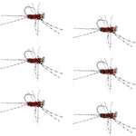 Set of six Barbless Pat's Rubber Legs Tungsten Bead Euro Nymph flies in brown for trout fishing, featuring detailed wet fly design.