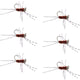 Barbless Pat's Rubber Legs Tungsten Bead Jig Brown Euro Nymph 6 Flies #6