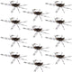 Barbless Pats Rubber Legs Tungsten Coffee/Black Euro Nymph 12 Flies #6
