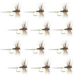 Set of 12 Adams Female Classic Dry Flies for trout fishing, hook size 14, by The Fly Fishing Place