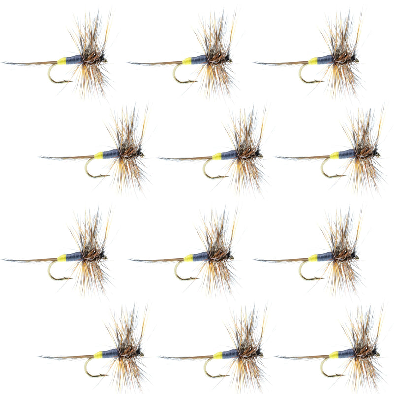 Set of 12 Adams Female Classic Dry Flies for trout fishing, hook size 14, by The Fly Fishing Place