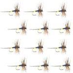 Set of 12 Adams Female Classic Dry Flies for trout fishing, hook size 16, by The Fly Fishing Place