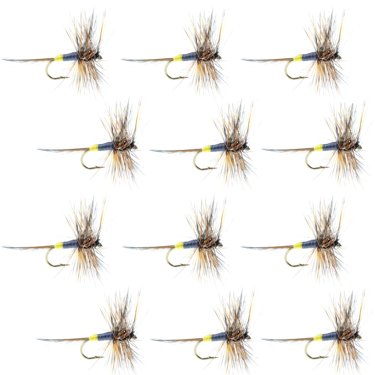 Set of 12 Adams Female Classic Dry Flies for trout fishing, hook size 16, by The Fly Fishing Place