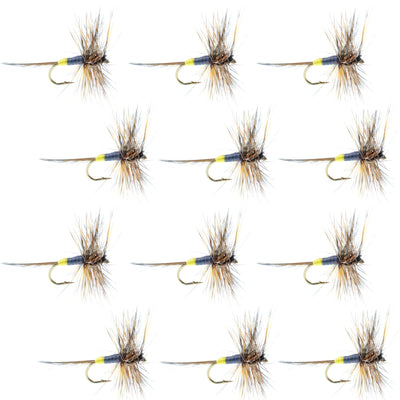 Set of 12 Adams Female Classic Dry Flies for trout fishing, hook size 16, by The Fly Fishing Place