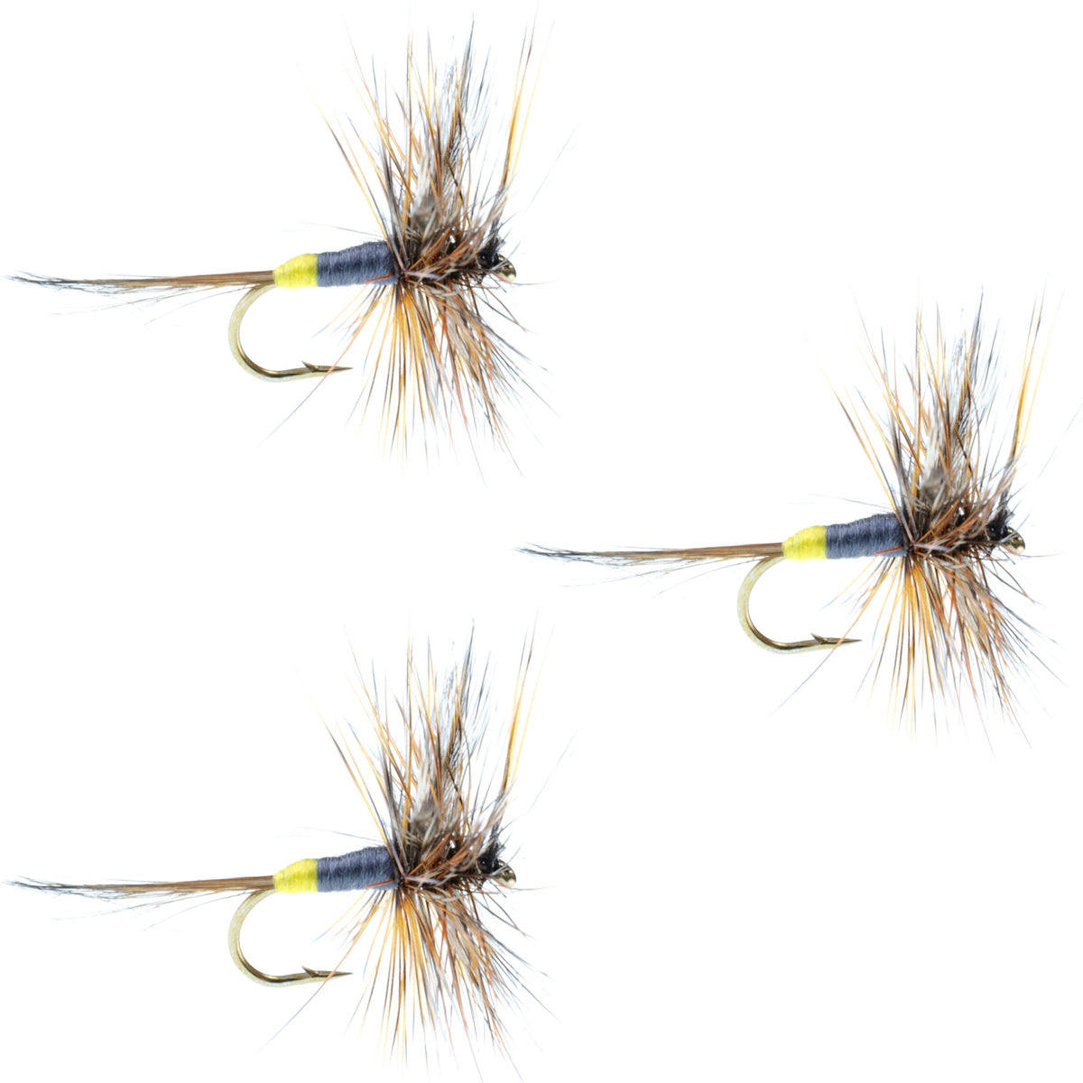 Set of three Adams Female dry flies for trout fishing, size 14, with realistic feather and hackle details for effective fly fishing.