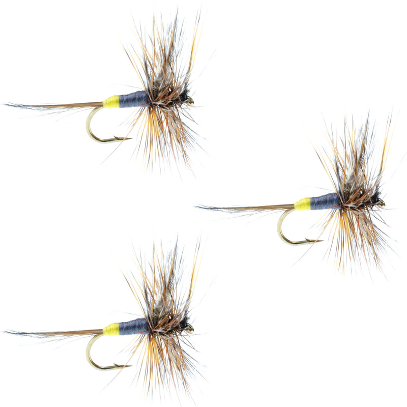 Set of three Adams Female Dry Flies for trout fishing, size 12, featuring realistic fly patterns by The Fly Fishing Place