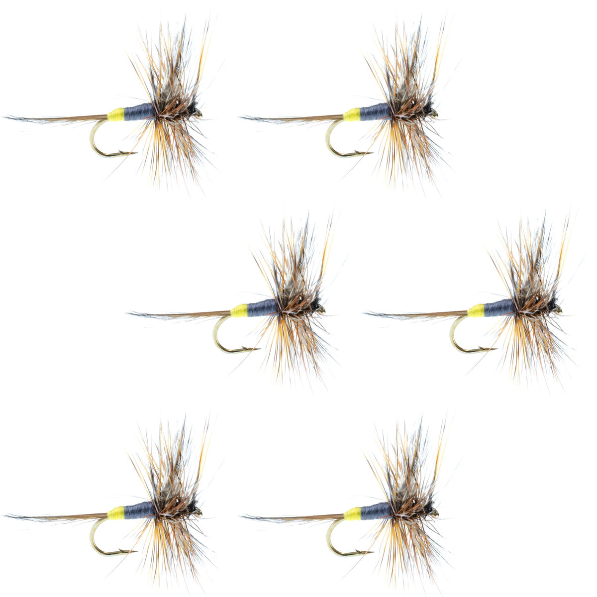 Set of six Adams Female Classic Dry Flies for trout fishing, hook size 12, from The Fly Fishing Place, detailed close-up image.