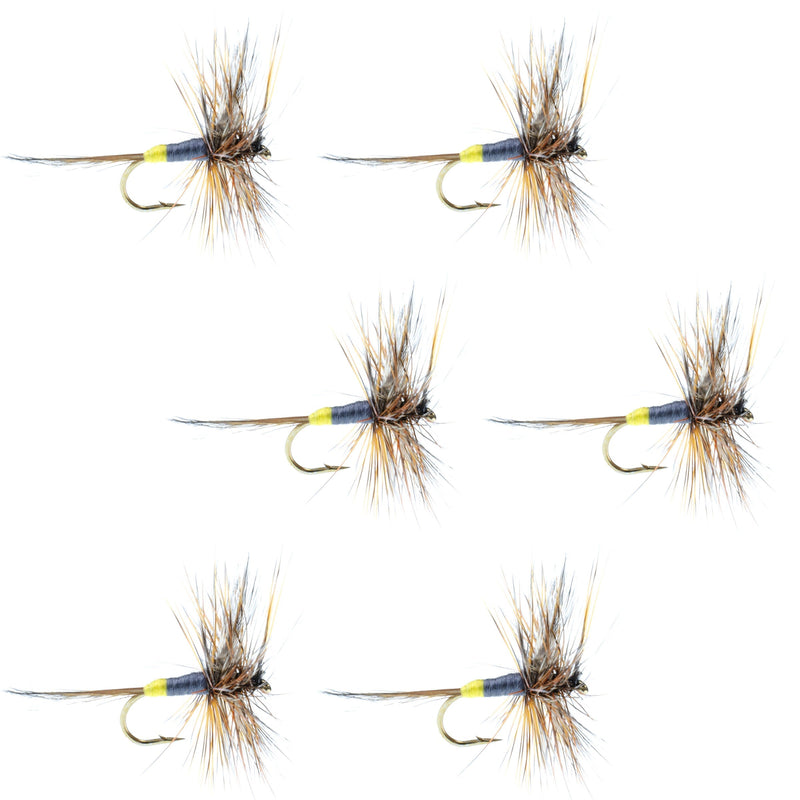 Set of six Adams Female Dry Flies for trout fishing, size 14 hooks, from The Fly Fishing Place, showing detailed fly patterns.