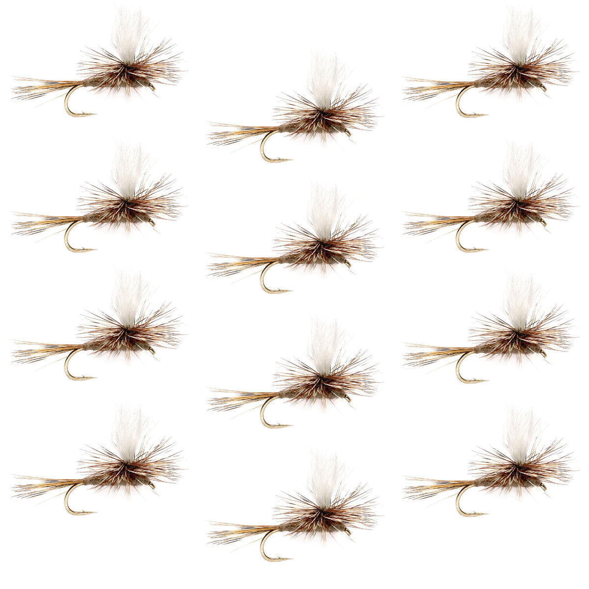 Set of 12 Adams Parachute Classic Dry Flies for trout fishing, size 16, featuring white parachute wings and realistic fly details.