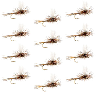 Set of 12 Adams Parachute Classic Dry Flies for trout fishing, size 10 hooks, featuring white parachute wings and realistic fly designs.