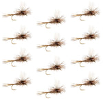 Set of 12 Adams Parachute Classic Dry Flies for trout fishing, size 12, featuring white parachute wings and detailed fly hooks.