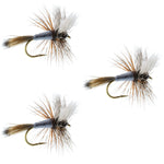 Set of three Adams Wulff dry flies for trout fishing, size 8, featuring classic dry fly hooks and realistic fly patterns.