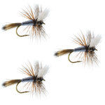Set of three Adams Wulff Classic dry fly fishing flies in size 10 for trout fishing, featuring detailed feather and hook craftsmanship.