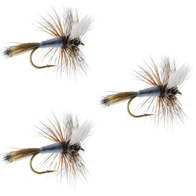 Set of three Adams Wulff Classic dry fly fishing flies in size 10 for trout fishing, featuring detailed feather and hook craftsmanship.