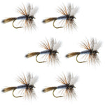 Set of six Adams Wulff Classic Dry Flies for trout fishing, size 12, by The Fly Fishing Place.