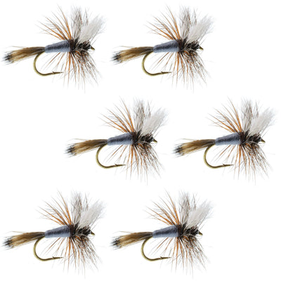 Set of six Adams Wulff Classic Dry Flies for trout fishing, size 12, by The Fly Fishing Place.