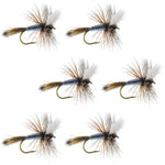 Set of six Adams Wulff classic dry flies for trout fishing, size 8, by The Fly Fishing Place.