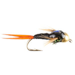 Set of 6 Bead Head Black Copper John Nymph trout wet flies with size 14 hooks for fly fishing, from The Fly Fishing Place.