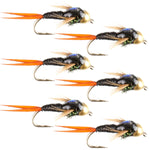 Set of six Bead Head Black Copper John Nymph trout wet flies with size 18 hooks for fly fishing by The Fly Fishing Place