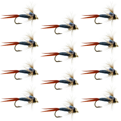 Set of 12 Bead Head Metallic Blue Copper John Nymph trout wet flies with size 14 hooks for fly fishing.