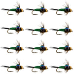 Set of 12 Bead Head Green Copper John Nymph trout wet flies with size 14 hooks for fly fishing.
