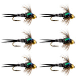 Set of 6 Bead Head Zebra Copper John Nymph flies for trout fishing, featuring copper and zebra pattern hooks size 14.