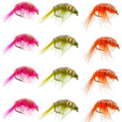 Set of 12 beaded shrimp scud trout wet flies with 3 patterns, size 12, for fly fishing in tailwater lakes.