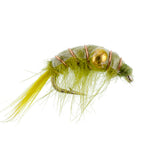 Olive beaded shrimp scud pattern trout wet fly for fly fishing, size 12, with green body and detailed shrimp design.