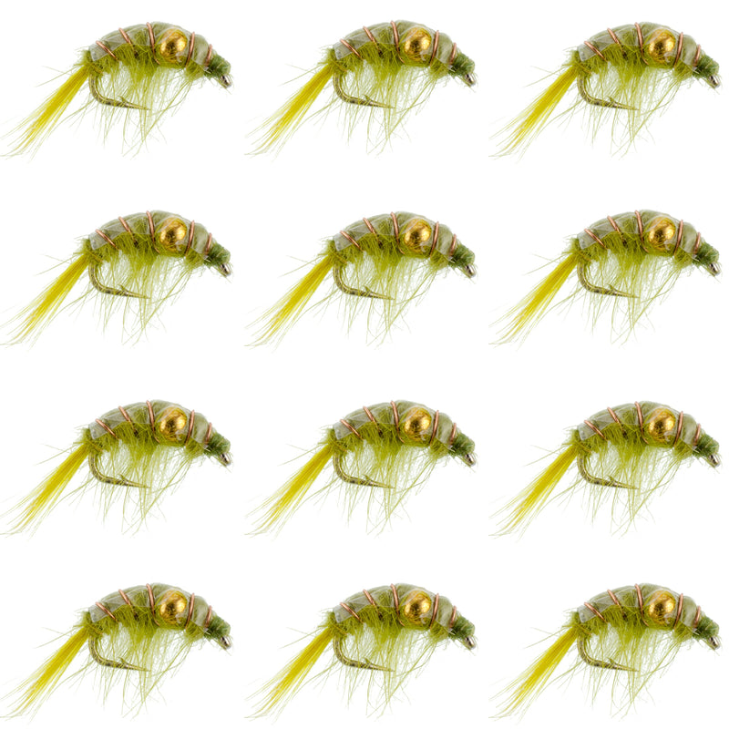 Olive Beaded Shrimp Scud Pattern - 1 Dozen Size 16 - Tailwater Lake Fly Fishing Nymph