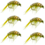 Six olive beaded shrimp scud pattern trout wet flies with green nymphs, size 12, for fly fishing in tailwater lakes.